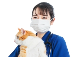 20歳/動物看護スタッフ/女性